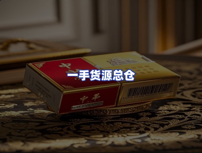 专业团队